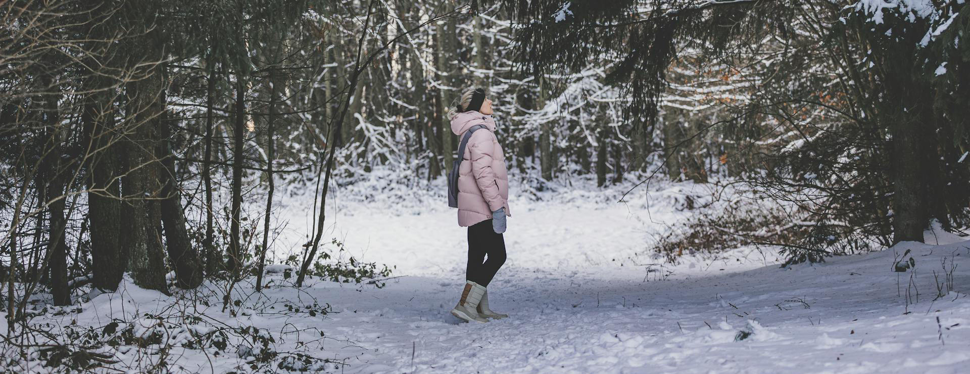 Elevate -Elevate pexels asemirski 19786129